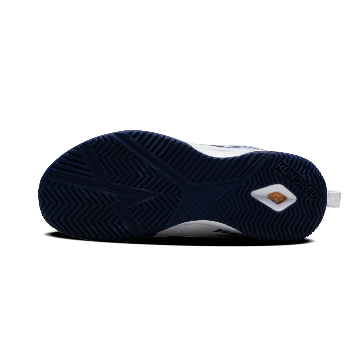 CourtFuse - Image 8